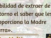Frase sobre 🧙‍♂️ chamán 🌍Madre Tierra