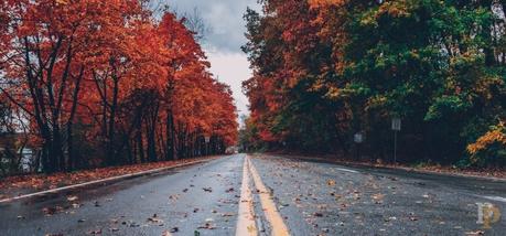 Lujuria Otoñal | Arte poética