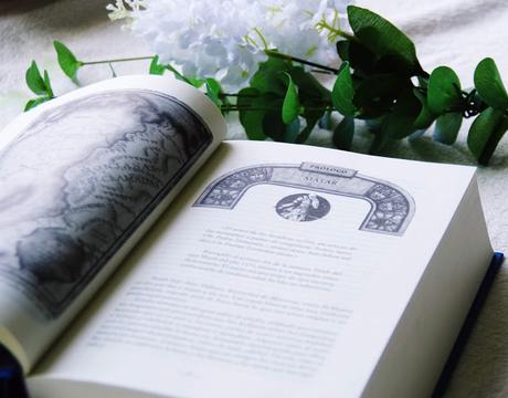 IMM #24: Adquisiciones de verano y otoño