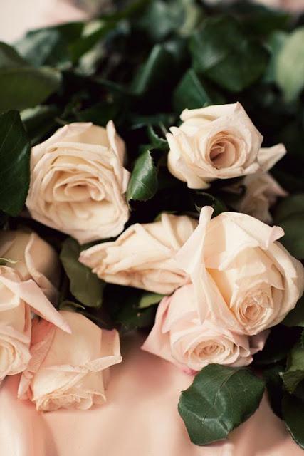 Probando ropa interior SHEIN 11 YEARS happy birthday