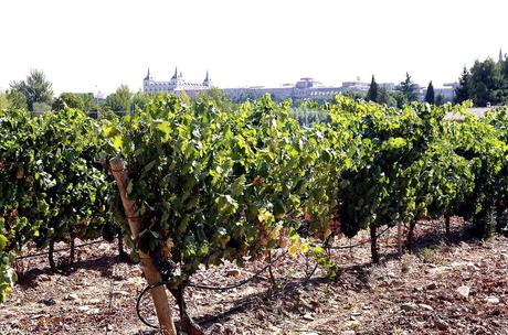 Sueños del Duque 2009