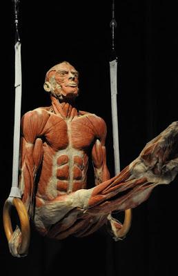 En qué se distingue la izquierda de la derecha, Almeida en el colegio y los museos más raros del mundo.