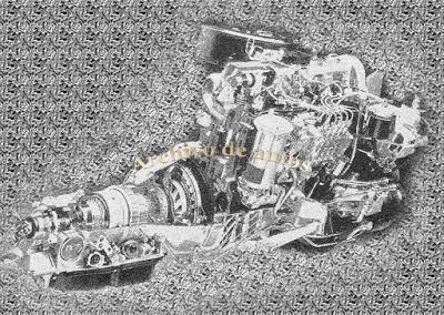 La Preguntita del Domingo 320