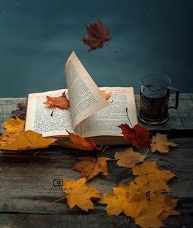 LADRÓN SIN GUANTES...