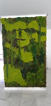 Estado actual del jardín de planta conservada