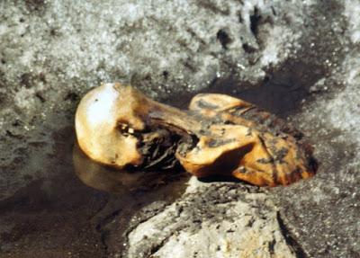 El descubrimiento del asesinato más antiguo del mundo