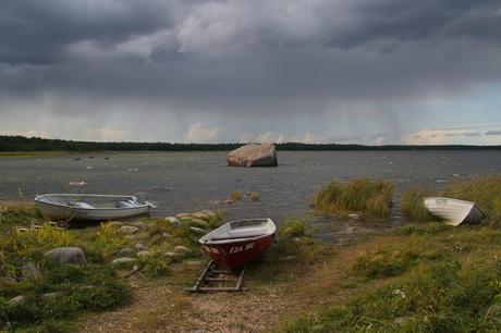 CRÓNICAS BÁLTICAS: PARQUE NACIONAL LAHEMAA (II)