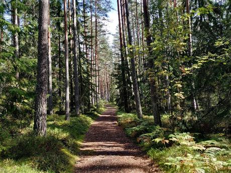 CRÓNICAS BÁLTICAS: PARQUE NACIONAL LAHEMAA (II)