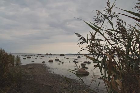 CRÓNICAS BÁLTICAS: PARQUE NACIONAL LAHEMAA (II)