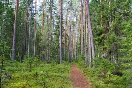CRÓNICAS BÁLTICAS: PARQUE NACIONAL LAHEMAA (II)