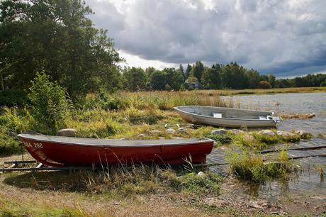 CRÓNICAS BÁLTICAS: PARQUE NACIONAL LAHEMAA (II)