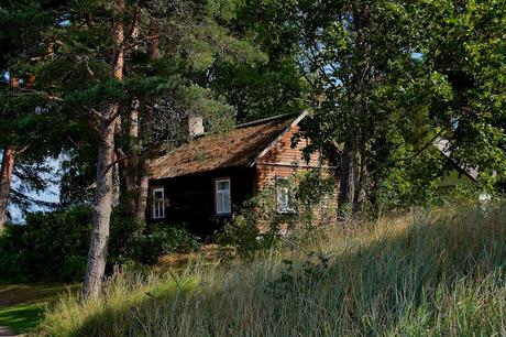 CRÓNICAS BÁLTICAS: PARQUE NACIONAL LAHEMAA (II)