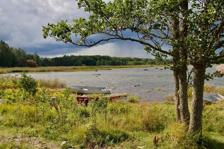 CRÓNICAS BÁLTICAS: PARQUE NACIONAL LAHEMAA (II)