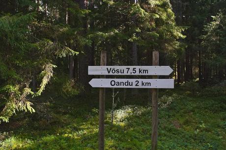 CRÓNICAS BÁLTICAS: PARQUE NACIONAL LAHEMAA (II)