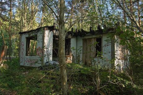 CRÓNICAS BÁLTICAS: PARQUE NACIONAL LAHEMAA (II)