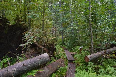 CRÓNICAS BÁLTICAS: PARQUE NACIONAL LAHEMAA (II)