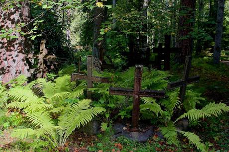 CRÓNICAS BÁLTICAS: PARQUE NACIONAL LAHEMAA (II)