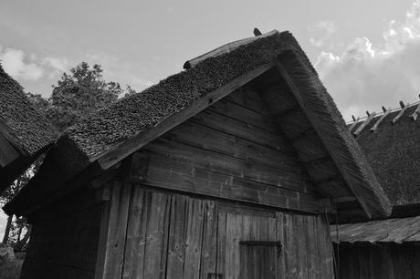 CRÓNICAS BÁLTICAS: PARQUE NACIONAL LAHEMAA (II)