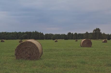 CRÓNICAS BÁLTICAS: PARQUE NACIONAL LAHEMAA (I)