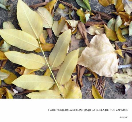 Para un lunes de otoño…