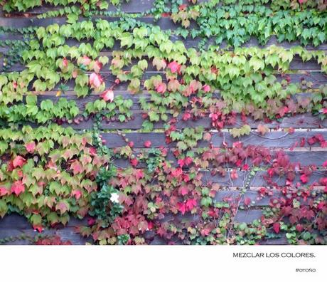 Para un lunes de otoño…
