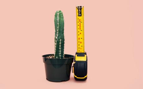 Tamaño del Pene | Todo lo que Debes Saber tamaño medio del pene