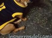 Buscamos Clark.