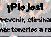 ¡Piojos! Prevenir, eliminar mantenerlos raya