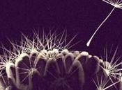 ¡Llegaron nuevos títulos grandes escritoras!