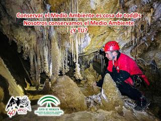 Vídeos para conservar el medio ambiente: ¿Nos ayudas a difundir?