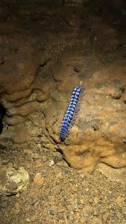 Expedición espeleológica México 