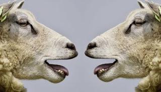 REQUISITOS PARA UNA BUENA COMUNICACIÓN