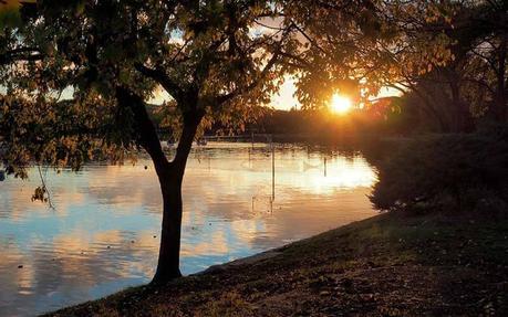 Todo sobre los parques y zonas verdes de Madrid