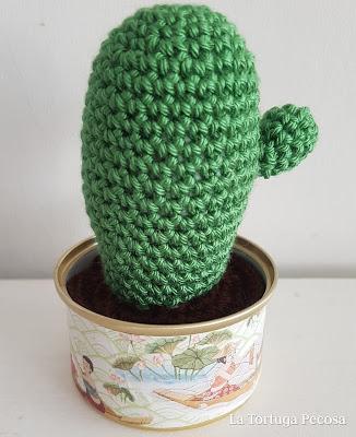 CACTUS ONE