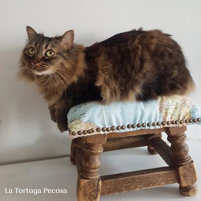 TUTORIAL BUTACA REPOSAPIES RESTAURADA TUTORIAL BUTACA REPOSAPIES RESTAURADA