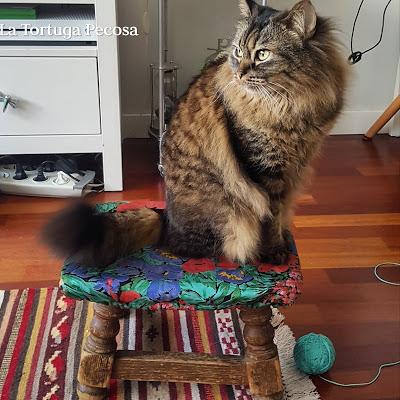 TUTORIAL BUTACA REPOSAPIES RESTAURADA TUTORIAL BUTACA REPOSAPIES RESTAURADA