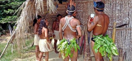 Incendios forestales en el Amazonas. Una crisis climática y humana