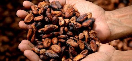 Cacao y explotación infantil en Costa de Marfil
