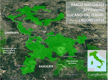La fauna del parque Apenino-Lucano, un vasto sistema de áreas protegidas.