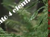 Sorteo conjunto cara norte corazón Dolores Redondo