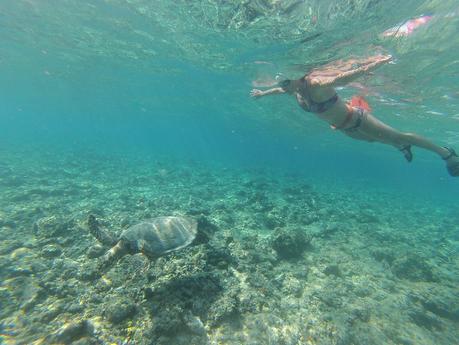 nadando con una tortuga en la isla Gili Air