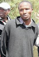 DESTRIPANDO A LOS VAMPIROS... DESTRIPANDO A LOS VAMPIROS...