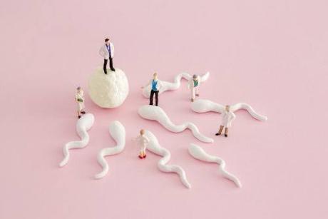 ¿Cuales son las probabilidades?