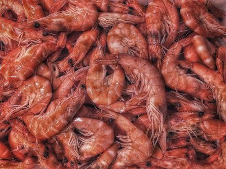 Peces en el mar (Fishes in the sea)