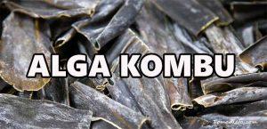 kombu alga de mar