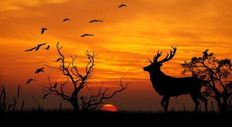 El movimiento en el Cántico espiritual