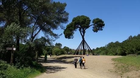 De Baixador de Vallvidrera a Sant Cugat del Vallès | Serra de Collserola