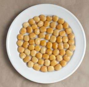 los altramuces engordan