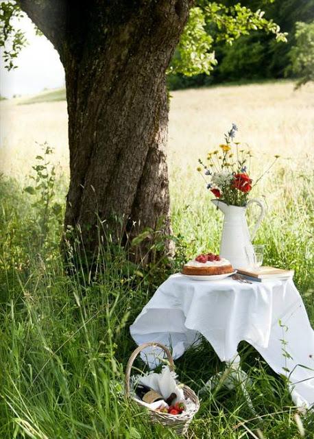 A la busqueda del clon A la busqueda del clon
