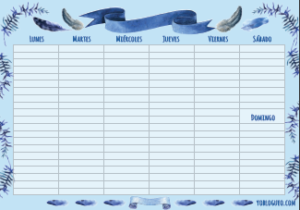 Calendario de plumas azules 70 páginas con planner Calendario 2020